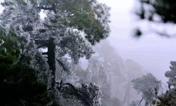 重庆百架无人机失控集体撞大楼，是否造成了很大的影响？游戏画面